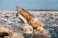 В Туве ранний ледоход вызвал подтопление дачных участков