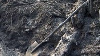 Рослесхоз не выявил нарушений в организации работы десантников, погибших при тушении пожара в Туве