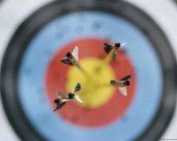 Чемпионами Тувы в стрельбе из лука стали студенты ТувГУ