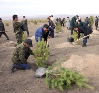 В Туве начался месячник по благоустройству и озеленению населенных пунктов