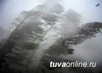 В Шагонаре 5-летний мальчик потерялся во время пыльной бури