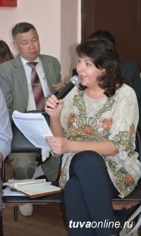 Публичные слушания: в чьих силах обеспечить порядок в Кызыле?