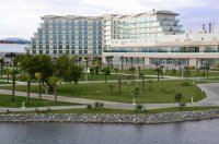 Кызылская школьница Анастасия Бедарева будет обучаться во Всероссийском центре для одаренных детей "Сириус» в Сочи