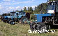 Команда Улуг-Хемского кожууна второй год побеждает в республиканском конкурсе косарей