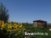 На базе ТувГУ проходит совещание Пленума Совета Федерального Учебно-методического объединения по биологии