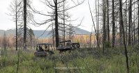 Ажиотаж вокруг президентского отпуска в Туве не стихает. Западные СМИ отмечают великолепную  физическую форму Путина