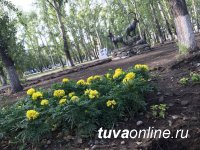 День города Кызыла: Новая велодорожка и обновленный Молодежный сквер откроются сдачей норм ГТО, мастер-классами, экскурсией…