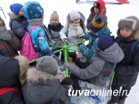 В обновленном Молодежном сквере Кызыла стартовал всероссийский фестиваль #ВЫХОДИГУЛЯТЬ В обновленном Молодежном сквере Кызыла стартовал всероссийский фестиваль #ВЫХОДИГУЛЯТЬ