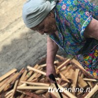"Добрые сердца Тувы" помогли вдове фронтовика заготовить дрова на зиму