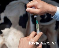 Тува: Ящерная вакцина оказалась недоброкачественной Тува: Ящерная вакцина оказалась недоброкачественной