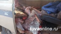 В Пий-Хемском районе инспекторы ДПС задержали подозреваемых в хищении пяти голов крупного рогатого скота В Пий-Хемском районе инспекторы ДПС задержали подозреваемых в хищении пяти голов крупного рогатого скота