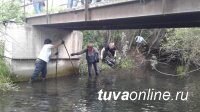 Кызыл: В районе Кожзавода «рыбачили» - из реки Донмас-суг вылавливали накапливавшийся годами мусор