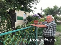 Благоустроители Кызыла. Валентина Павловна Стрельникова Благоустроители Кызыла. Валентина Павловна Стрельникова