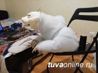 Мультфильм «Саглана» санкт-петербургских студентов Мультфильм «Саглана» санкт-петербургских студентов
