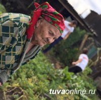 "Добрые сердца Тувы" помогли вдове фронтовика выкопать картошку "Добрые сердца Тувы" помогли вдове фронтовика выкопать картошку