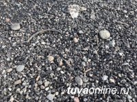 МУП Благоустройство в этом году перевыполнило план ямочного ремонта