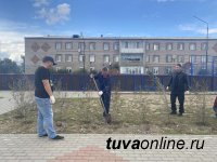 КЫЗЫЛ. Ко Дню рождения города горожане посадят 1000 деревьев