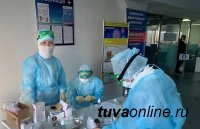 В Туве за сутки выявлено 105 новых случаев заболевания Covid, с начала пандемии умерло 140 человек
