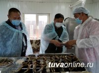 Владислав Ховалыг побывал в отдаленном оленеводческом Тоджинском кожууне Тувы