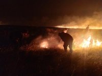 В Туве действуют 18 лесных пожаров на общей площади 495,3 га. Зафиксированы и степные пожары В Туве действуют 18 лесных пожаров на общей площади 495,3 га. Зафиксированы и степные пожары