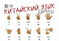 Бесплатные курсы китайского языка в Туве Бесплатные курсы китайского языка в Туве