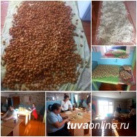 В Туве формируют груз с теплыми вещами и другими подарками для отправки участникам СВО В Туве формируют груз с теплыми вещами и другими подарками для отправки участникам СВО