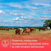 В Туве четыре пациента с сибирской язвой помещены на карантин после самовольного ухода из больницы