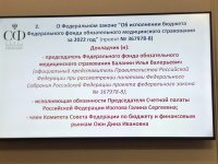 Будем добиваться достижения указных значений по заработной плате медработников в Туве, Мурманской области и Забайкалье - сенатор Дина Оюн