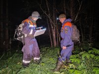 В Туве спасатели четвертые сутки ищут 72-летнюю собирательницу грибов и ягод