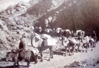 Из истории Тувы: вклад Тувинской Народной Республики в Великую Победу