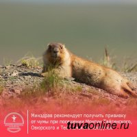 Минздрав Тувы рекомендует привиться от чумы всем посещающим приграничные районы республики