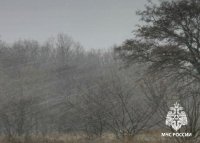 В Туве сегодня ожидается сильный ветер, МЧС рекомендует ограничить пребывание на улице