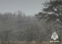 МЧС Тувы предупреждает о сильном ветре днем 28 апреля