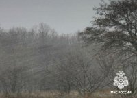 Сегодня в Туве ожидается усиление ветра до 23 м/сек