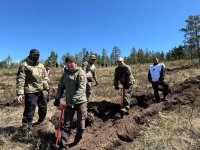 Ветераны СВО из Тувы и их близкие посадили деревья в рамках акции "Сад памяти"