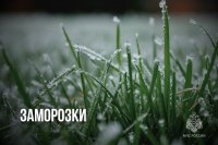 В Туву после сильной жары возвращаются заморозки