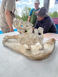 В Туве представитель Бай-Тайги Ай-Демир Шыырап стал победителем конкурса по резьбе по кости