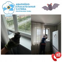 В Туве перепуганные владельцы квартиры в многоэтажке вызвали спасателей из-за летучей мыши