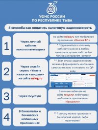 Налогоплательщики Тувы в июле могут погасить задолженности по имущественным налогам за прошлые годы