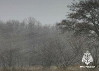 В Туве ожидается пыльная буря