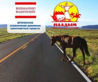 Автовладельцев Тувы предупреждают о временных ограничениях движения во время Наадыма