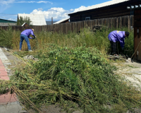 Молодые волонтеры Тувы поддерживают семьи военных