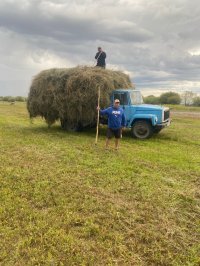 В Туве заготовлено более 45 тысяч тонн кормов