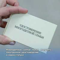 Многодетные семьи Тувы могут получить электронное удостоверение о своем статусе