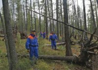 В Туве спасатели нашли потерявшуюся в тайге пожилую семейную пару