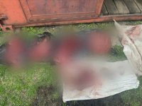 Браконьера из Тувы, охотившегося на косулей, оштрафовали на 100 тысяч рублей