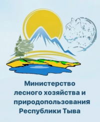 В Минлес Тувы приглашаются профессионалы на должность главного специалиста