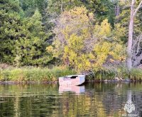 В Туве на озере Азас после падения из лодки утонул мужчина