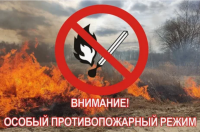 Запрет на посещение лесов в Туве продлен до 8 октября