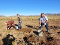 В Туве развивается проект «Кладовая семьи»: более 200 семей соберут картофель со своего участка